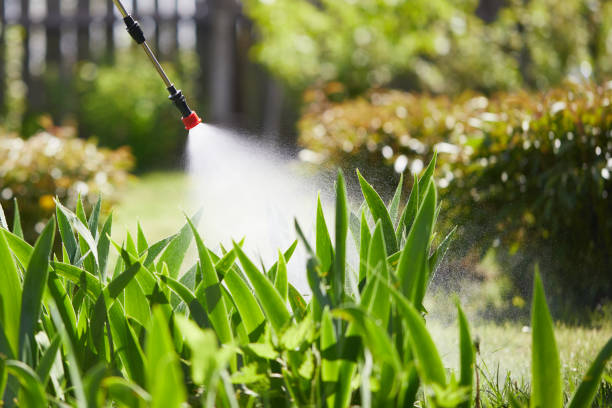 24/7 Emergency Wasp Removal experts in Gibson City, IL