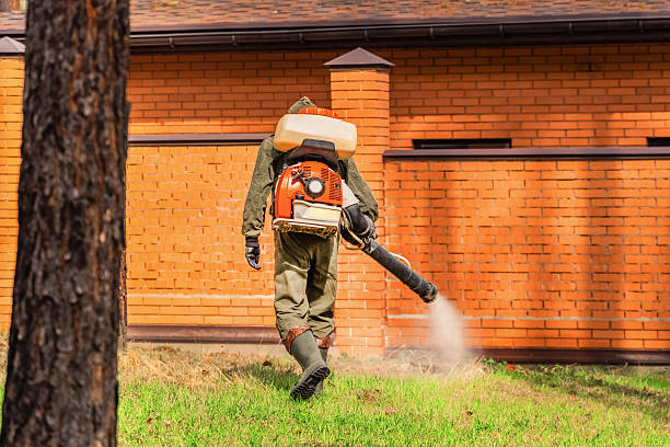 Top rated local Wasp Removal specialists in Gibson City, IL